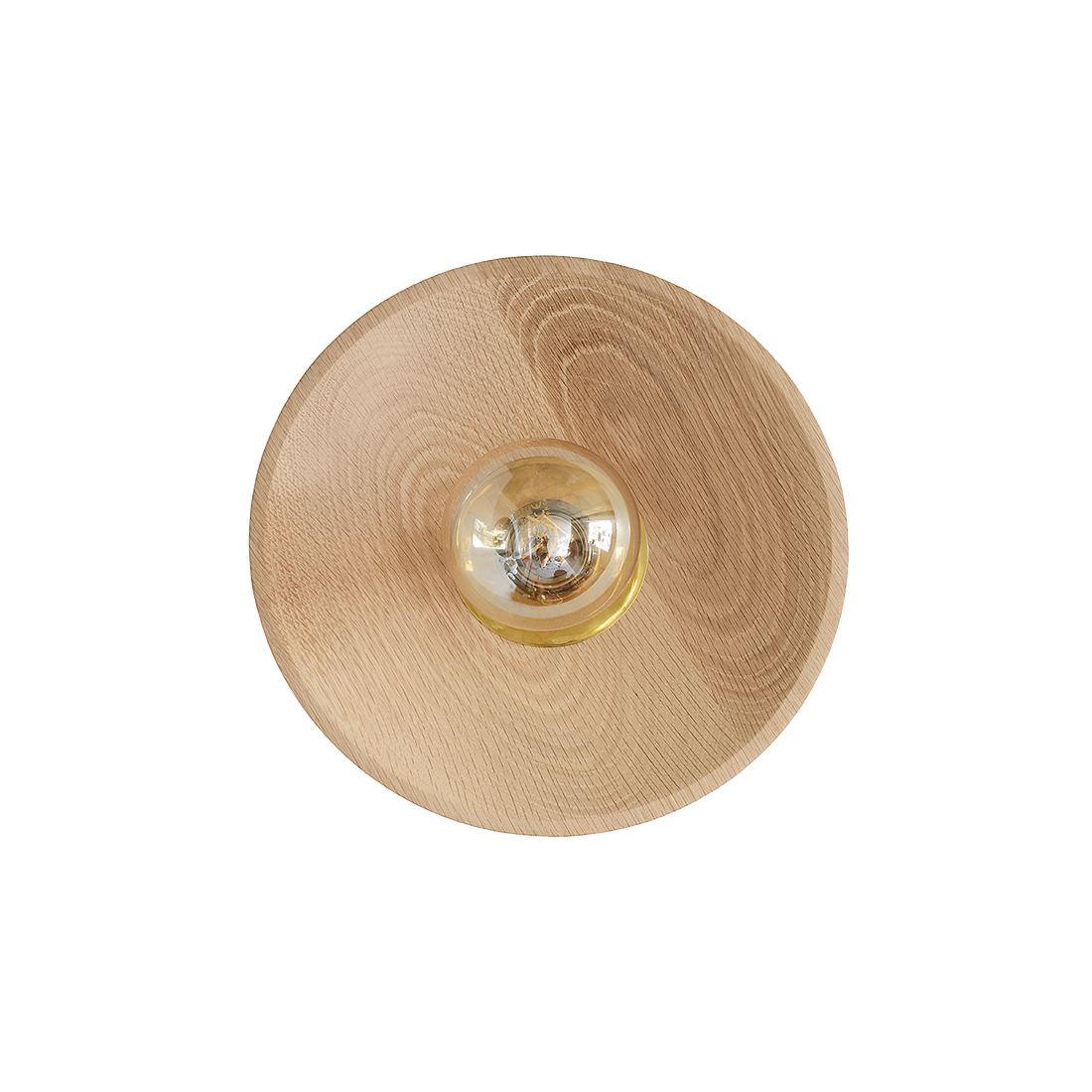 
                  
                    BEETLE TIMBER
                  
                