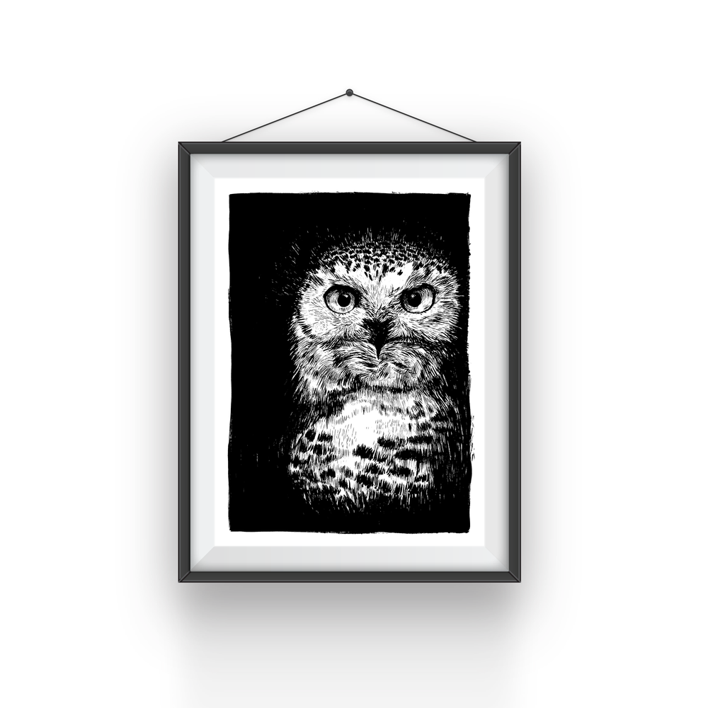 OWL POSTER
